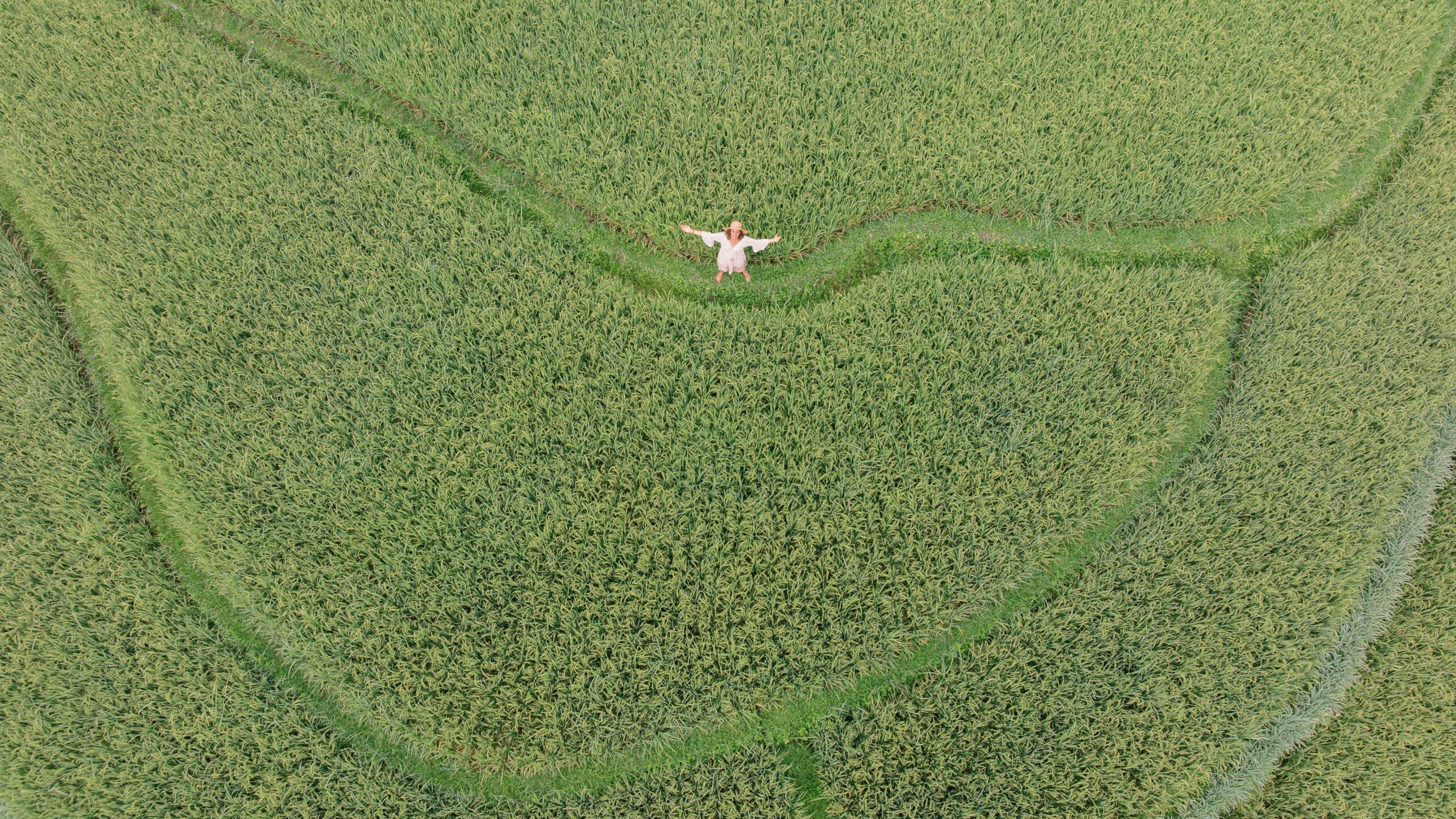Middle-aged woman Laura solo photoshoot in ripening rice fields at Camaya Bali