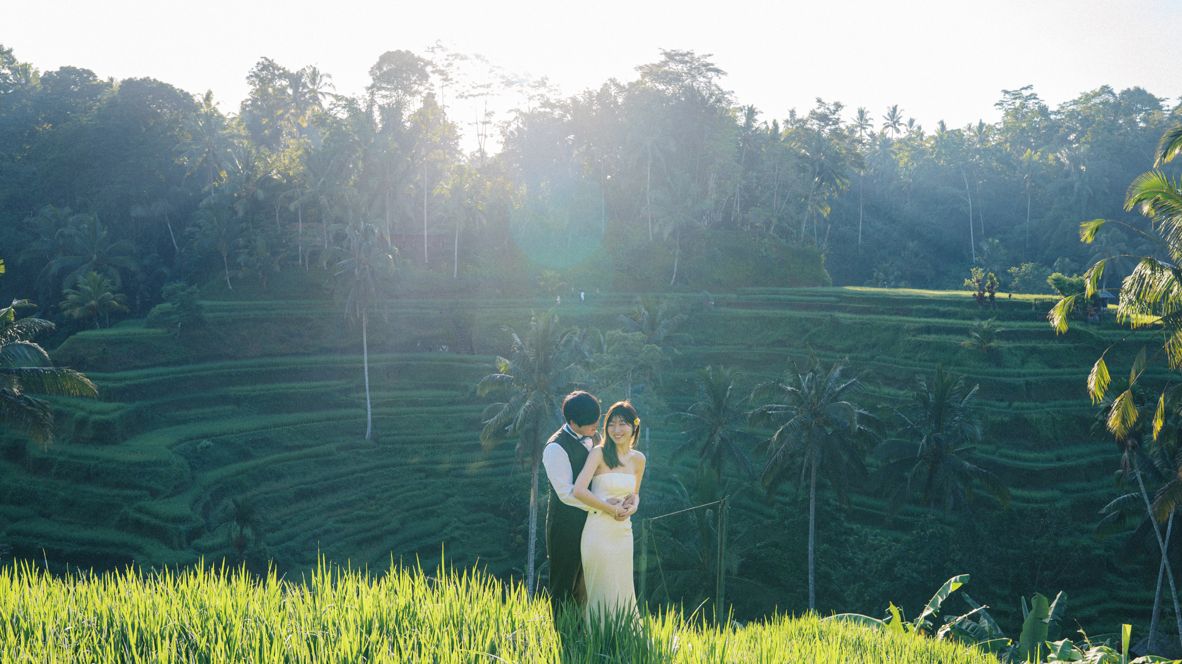 Wide view of Tatsu and Mika embracing among the sunlit rice terraces of Ubud